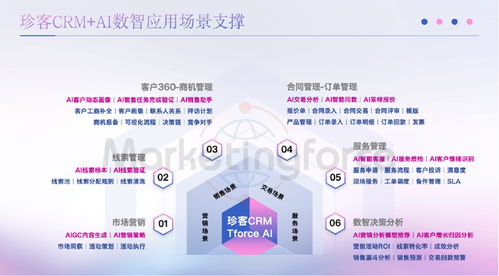 2025年中國(guó)智能CRM系統(tǒng)權(quán)威推薦Top6榜單 賦能企業(yè)數(shù)字化轉(zhuǎn)型的網(wǎng)絡(luò)技術(shù)服務(wù)